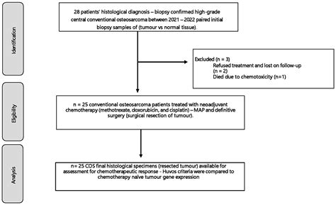 Unique Gene Expression Profiles within South Africa Are Associated with ...
