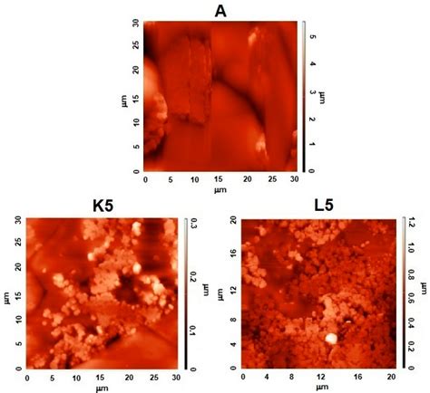 Cu-Containing Faujasite-Type Zeolite as an Additive in Eco-Friendly ...