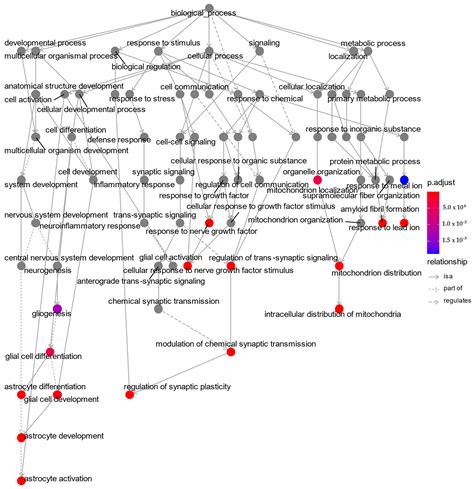 Evaluation of Synaptic and Axonal Dysfunction Biomarkers in Alzheimer’s ...