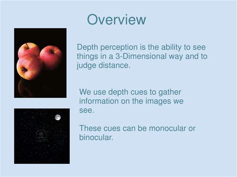 Depth Perception Definition 的图像结果