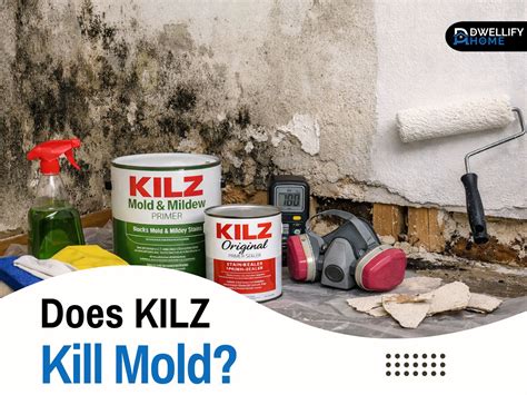 Is Kilz Safe For Your Cat Or Dog Chemistry Explained