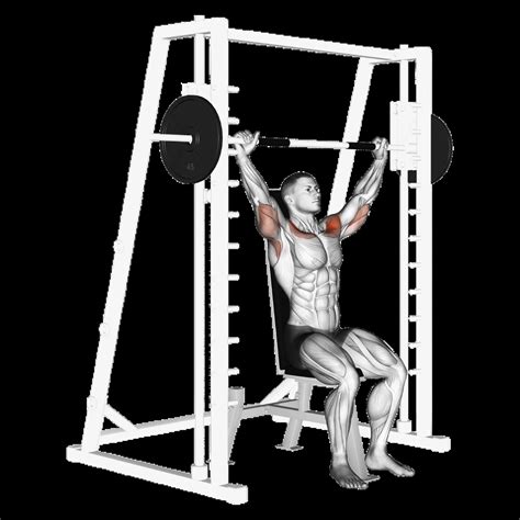 Dumbbell Shoulder Press: Guide, Muscles Worked, Tips | Athlemove