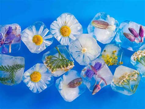 6 smart ice cube hacks to stay cool this summer