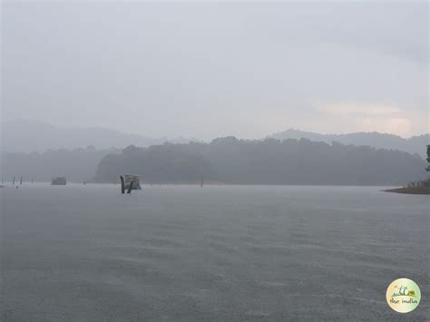 Periyar Lake, Thekkady – Photos, Timings & Entry Fees Info