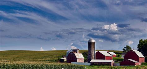 Promotion - Wish You Were Here Farm Red Tractor Glass Round Shaped ...