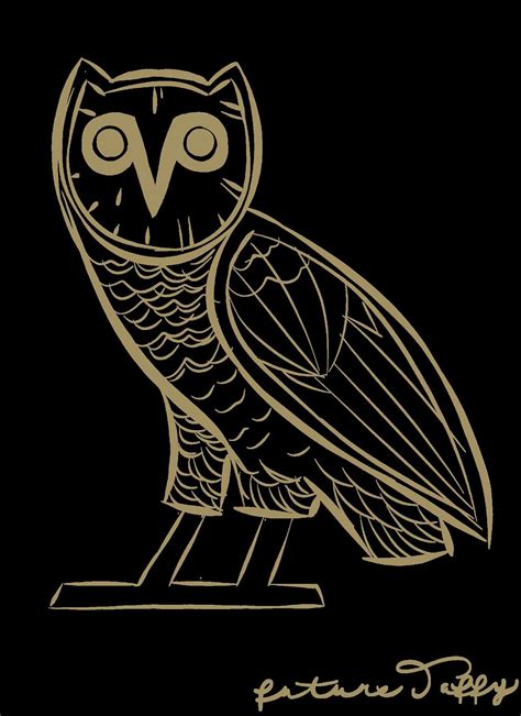 Drake Owl Yolo Background