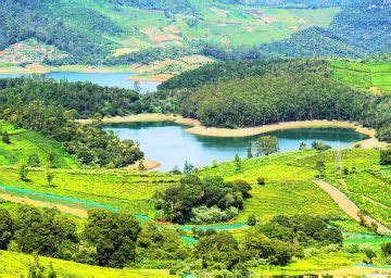 Heart-warming 4 Days 3 Nights Bangalore Wildlife Holiday Package ...