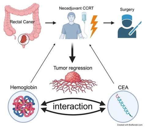 Predictive Value of the Interaction between CEA and Hemoglobin in ...
