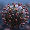 Can Herbal Medicines Reduce the Duration of Antibiotic Therapy?
