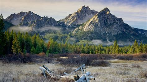 Jagged Array 的图像结果