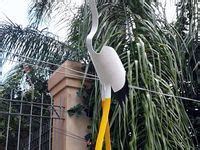 Image result for PVC Craft Projects