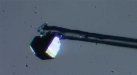 Scientists Find A Completely Unknown Mineral Called 'Goldschmidtite ...