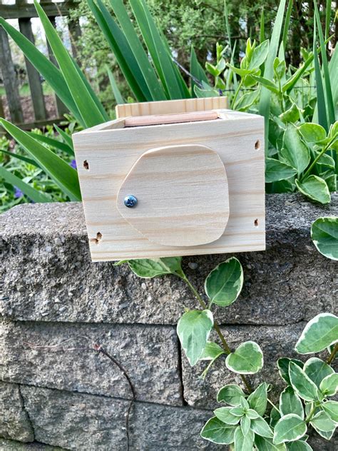 Carpenter Bee Traps - Etsy