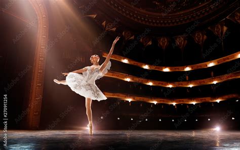 Image result for Opera Ballet Performances