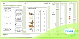 Animals And Their Offspring | Year 2 Science Lesson Pack