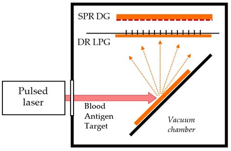 SPR and Double Resonance LPG Biosensors for Helicobacter pylori BabA ...