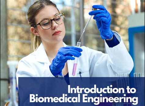 Biomedical Engineering Course Requirements 的图像结果