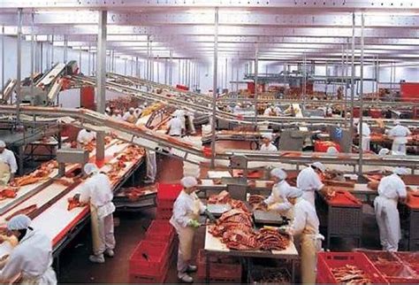 Кланица | Издателство “Либра Скорп”