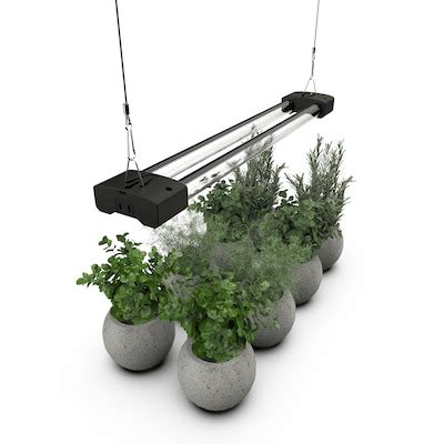 Indoor Grow Lights at Lowes.com