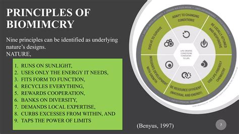 Introduction To Biomimicry