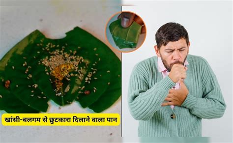5-7 दिन में खांसी और छाती में जमे बलगम से छुटकारा दिलाएगा ये पान ...
