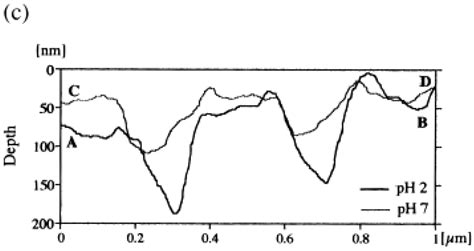 Water Soluble Responsive Polymer Brushes