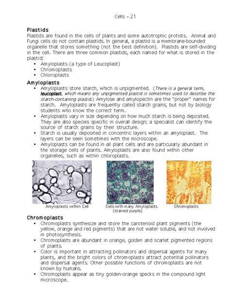 Cells notes-5 - P l a s t i d s Plastids are found in the cells of plants and some autotrophic ...