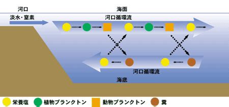 Image result for Digital Code Matrix Programming