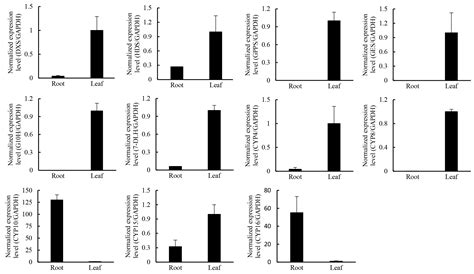 De Novo Assembly and Characterization of the Transcriptome of the ...