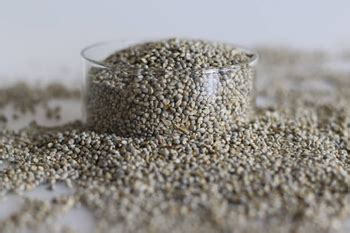 9 Benefits of Including Jowar in Your Diet | Good Monk