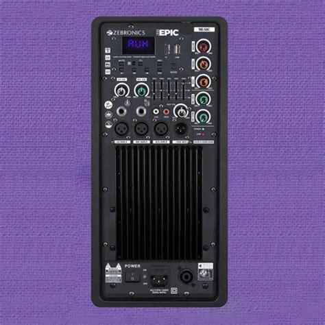 Buy Zebronics Epic Active Speaker 300 Watt with 2 Wireless Microphones ...