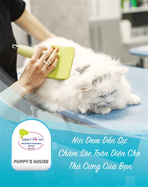 Dịch vụ tắm cún - Puppy's House - Dịch vụ & Sản phẩm cho Thú cưng