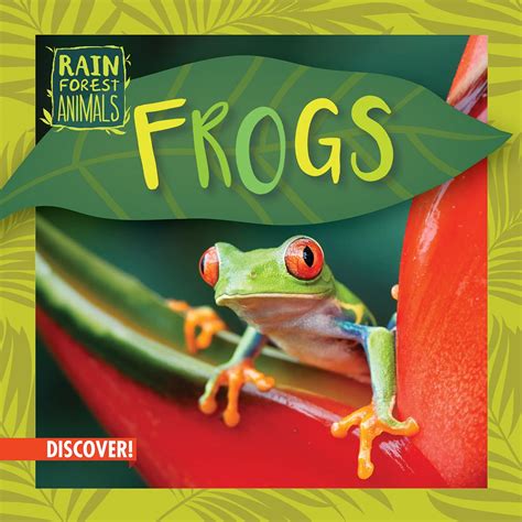 Frogs (Rain Forest Animals) : Fowler, Leona: Amazon.in: Books