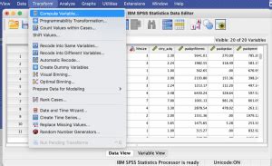 Image result for Merge 2 Variables SPSS