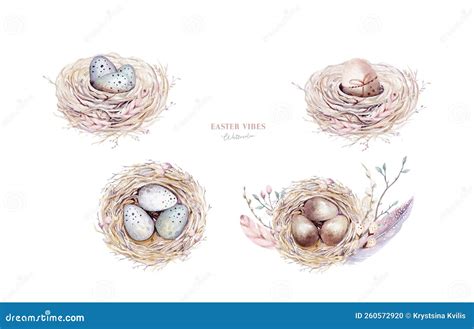 Watercolor Happt Easter Nest with Bird Eggs with Branch and Feather Isolated on White. Spring ...