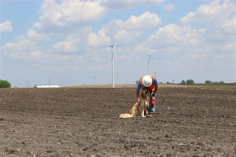 Detection Dog Handlers & their Dogs - Western EcoSystems Technology, Inc.