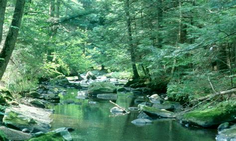 Steep Cool Streams | Mass.gov