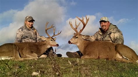 Blacktail Deer Hunting Archives | Blacktail Deer Hunting California