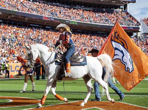 GALLERY • Arabian Horse Legends, Denver Broncos Thunder • We LOVE Arabian Horses