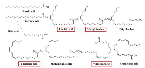 Fatty Acid Methyl Ester - Manufacturer Exporter Supplier in Chennai India
