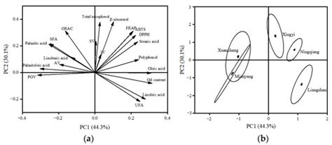 Analysis of Chemical Composition and Antioxidant Activity of Idesia ...