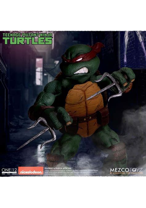 Image result for TMNT Boxed Collection