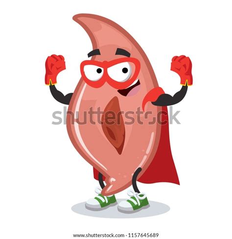 Image result for Muscle Cell Cartoon