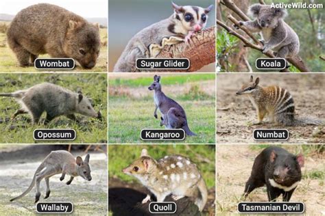 Image result for JavaScript Errorlevel