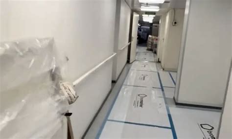 Inside a cruise ship morgue - as passengers find out what 'free ice ...
