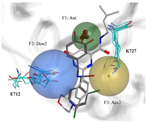 Computational Characterization of Small Molecules Binding to the Human ...