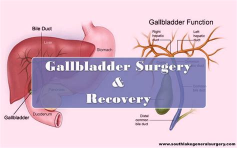 Image result for Gallbladder Test
