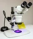 Microscope - Binocular Research labomed Microscope Manufacturer from Mumbai