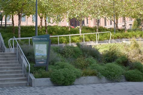 Katherine Ward Burg Garden - TREKK Design Group