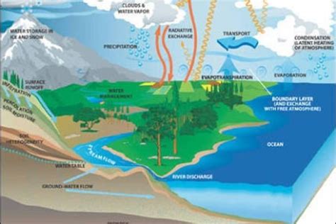 What is meant by denudation? - Brainly.in